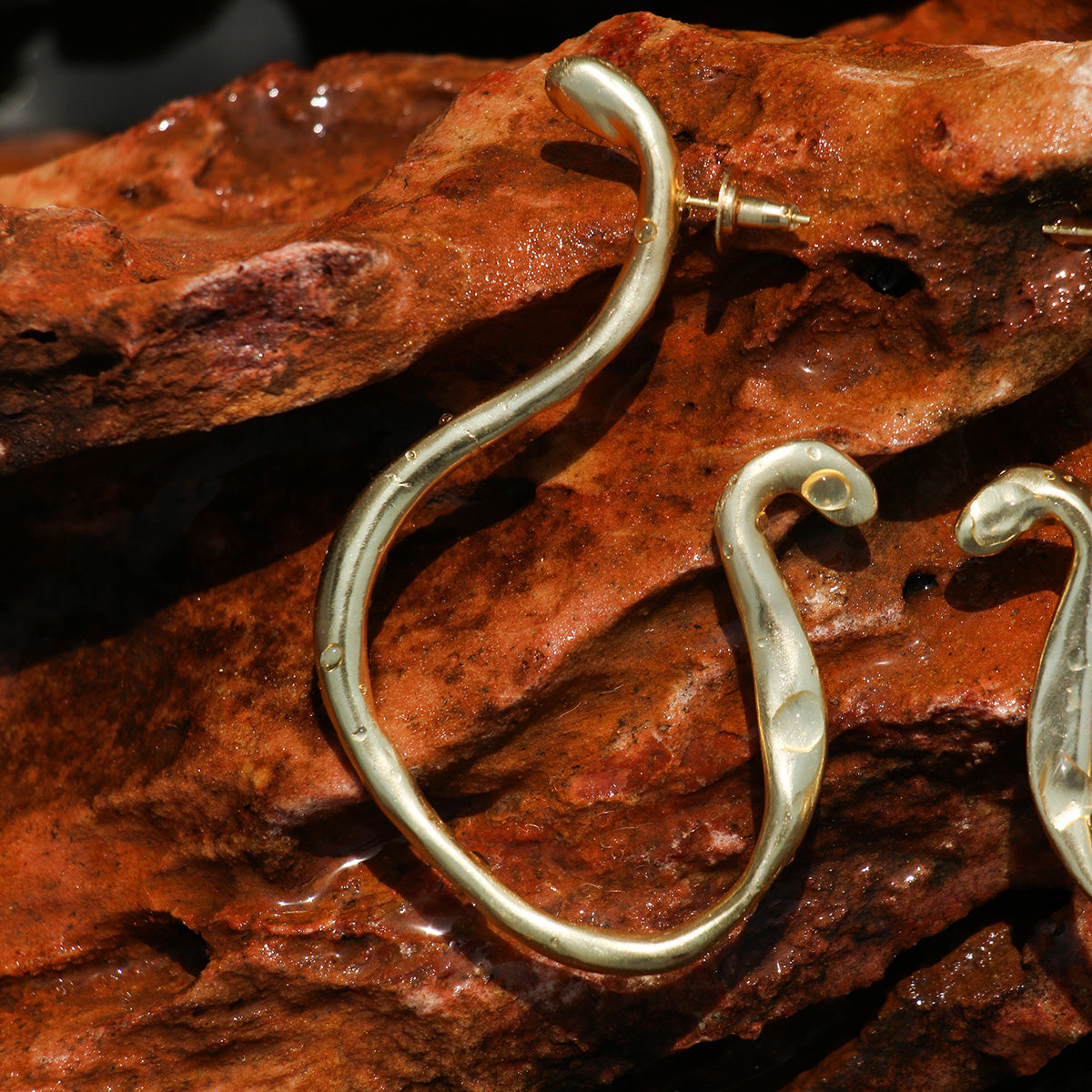 Bait Earrings