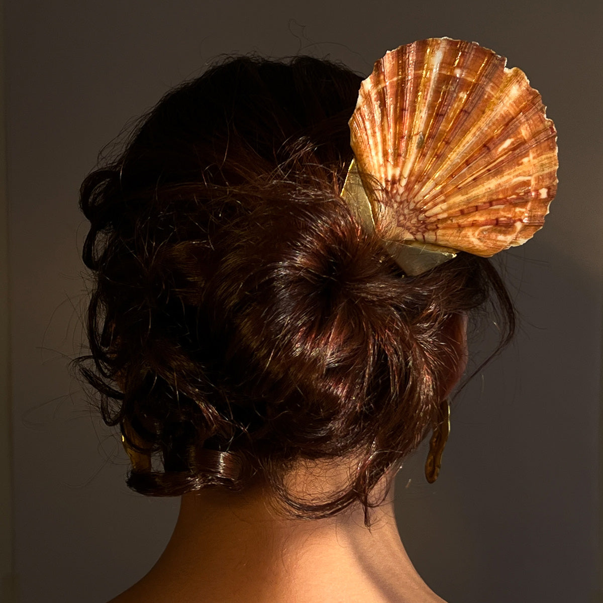 She Shells – Viti Mittal Studios