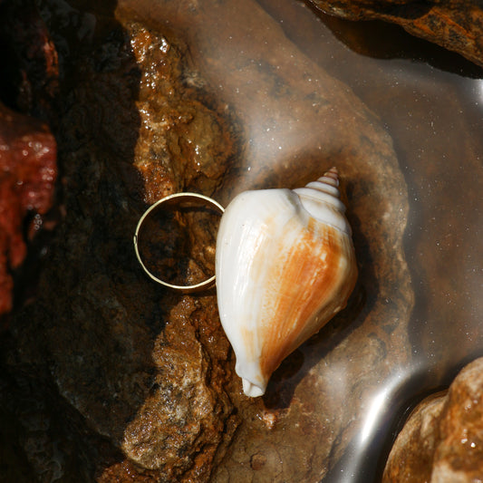 Coil Ring