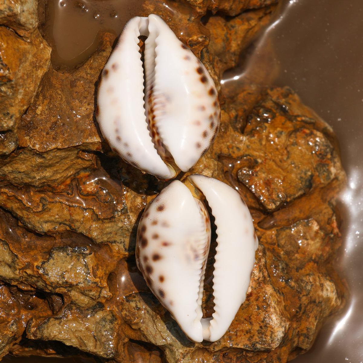 Do-Coweri Danglers